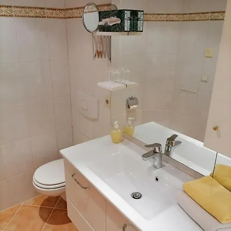 Penzion Birkenheim Widmann 4*