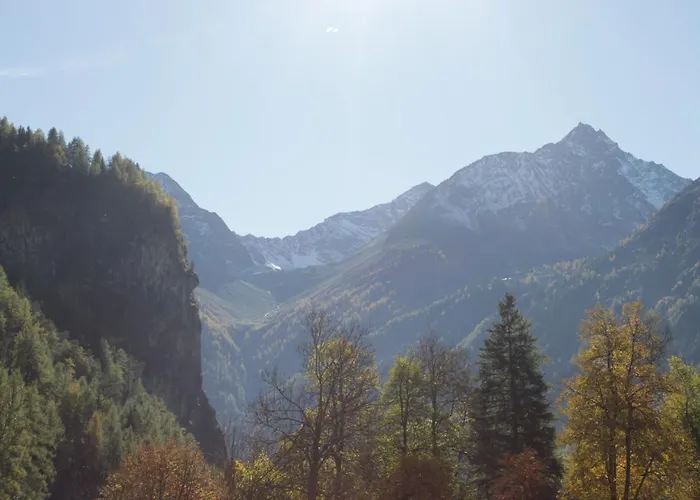 Casa de hóspedes Birkenheim Widmann