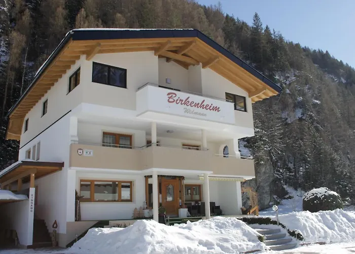 Birkenheim Widmann 4*