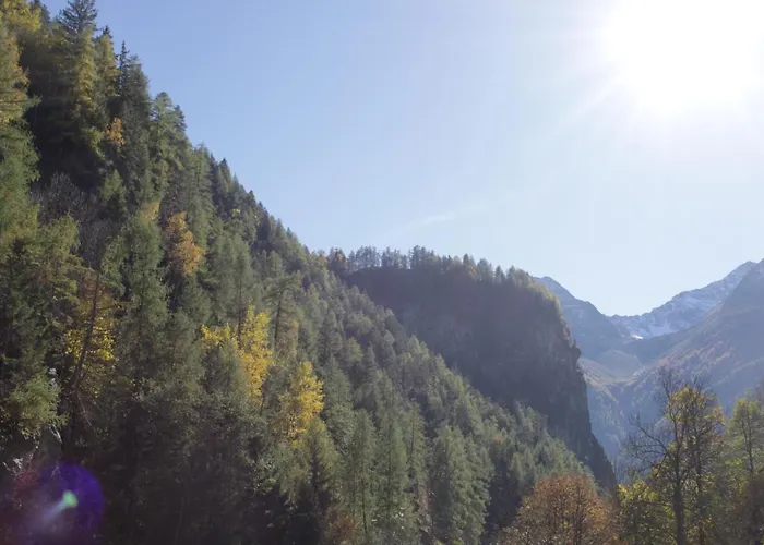 Birkenheim Widmann Konukevi