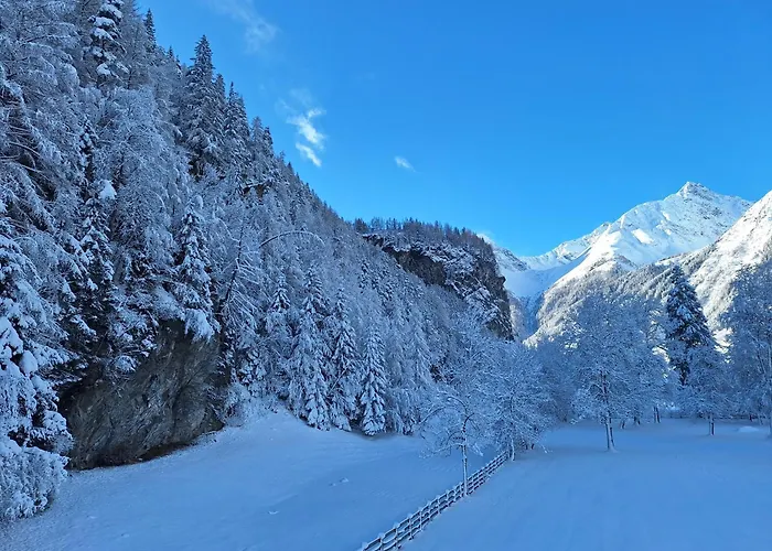 Birkenheim Widmann 4*