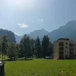 Gasthof Birkenheim Widmann Längenfeld