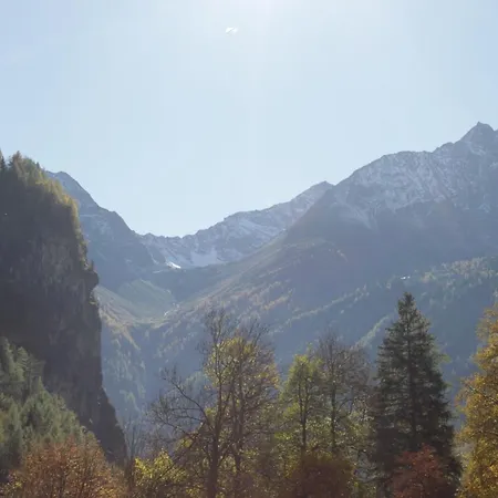 招待所 Birkenheim Widmann酒店