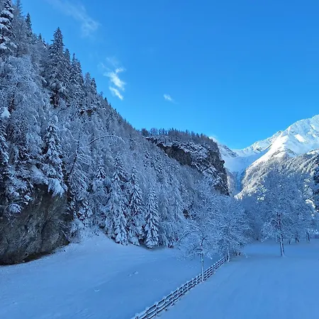 Birkenheim Widmann酒店 4*