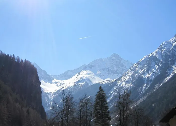 招待所 Birkenheim Widmann酒店